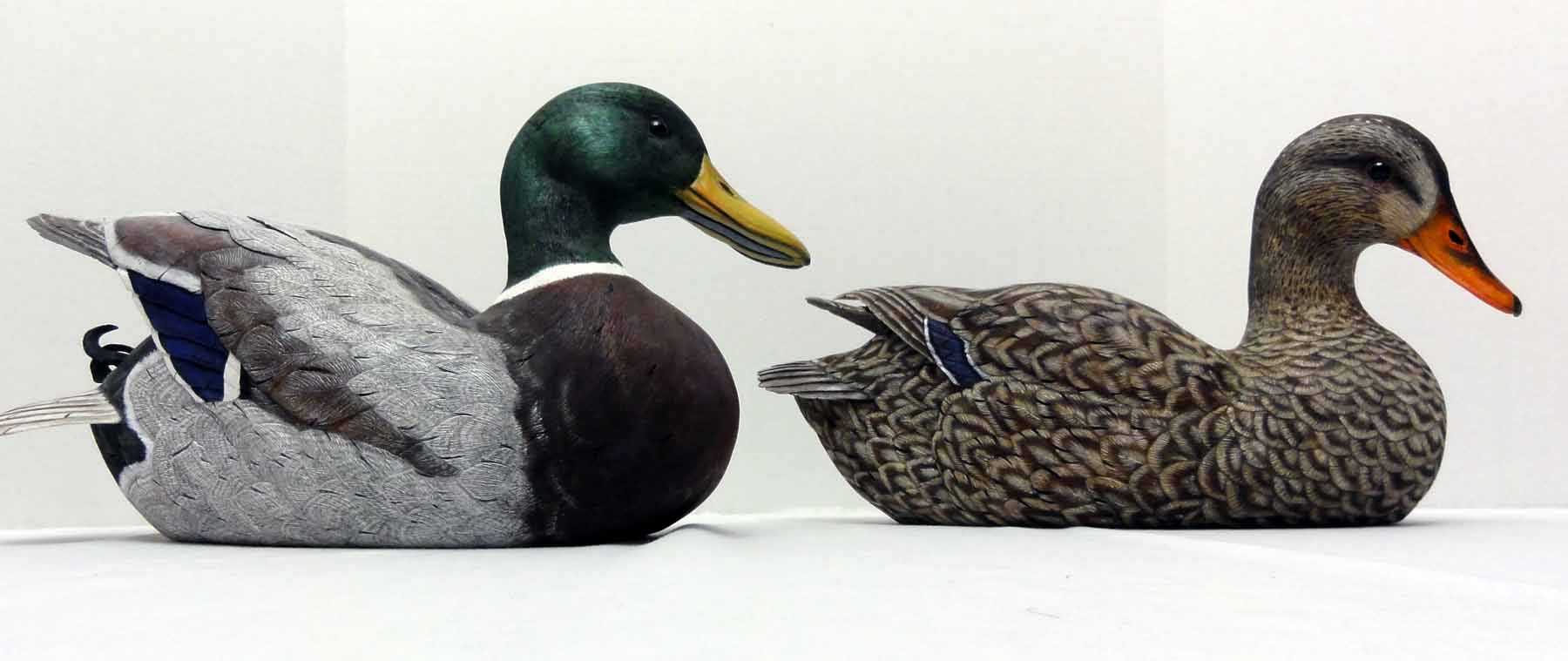 Magnum Mallards